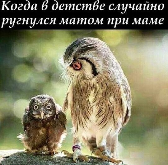 Очередной выпуск ПОЛИТСТЁБА и другого.  14.05.21