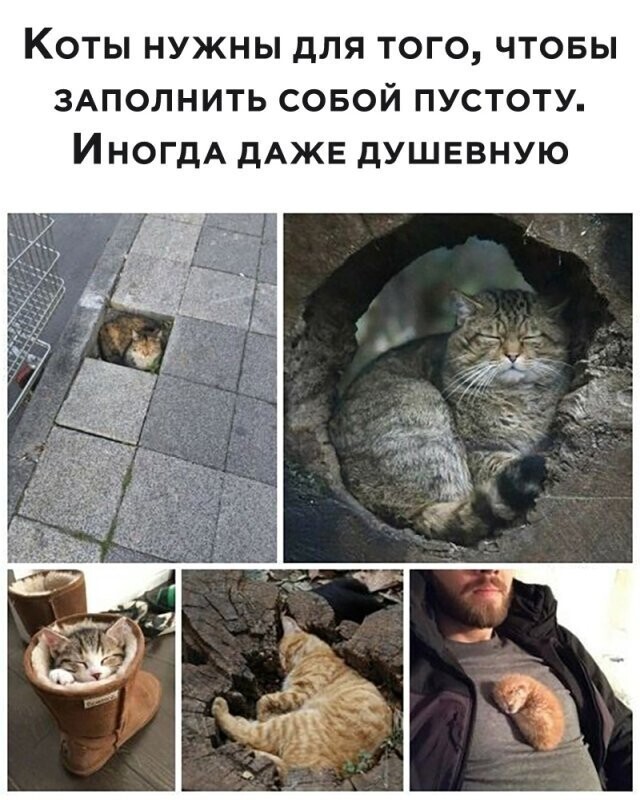 Всё вразнобой