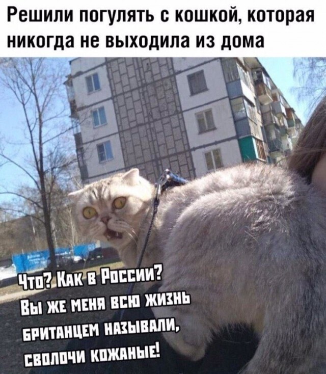 Всё вразнобой