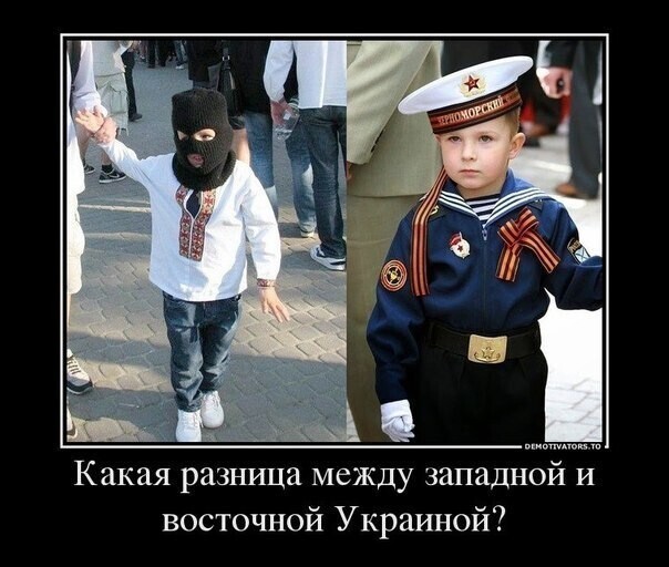 О политике и не только