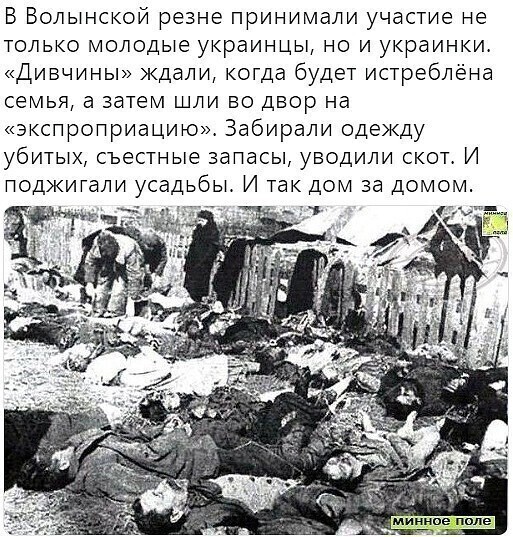 О политике и не только