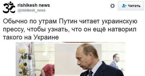О политике и не только