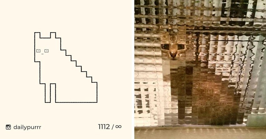 Минималистичные рисунки мемных котов