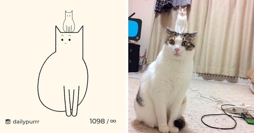 Минималистичные рисунки мемных котов