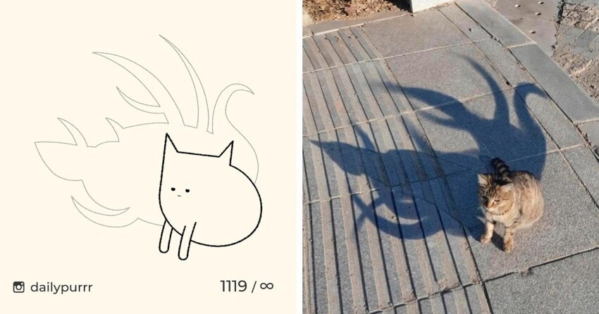 Минималистичные рисунки мемных котов