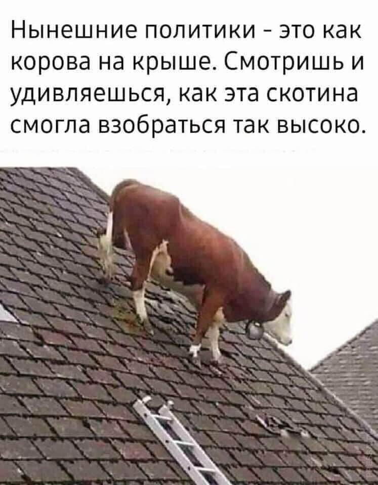 Новостной ПОЛИТСТЁБ и другое 16.05.21