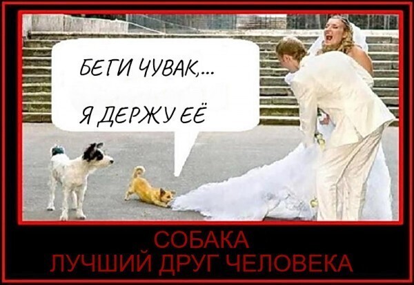Новостной ПОЛИТСТЁБ и другое 16.05.21