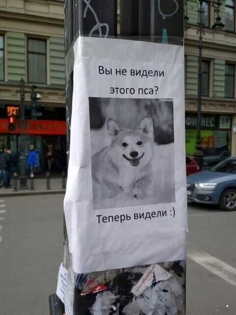 ФотоВсячина