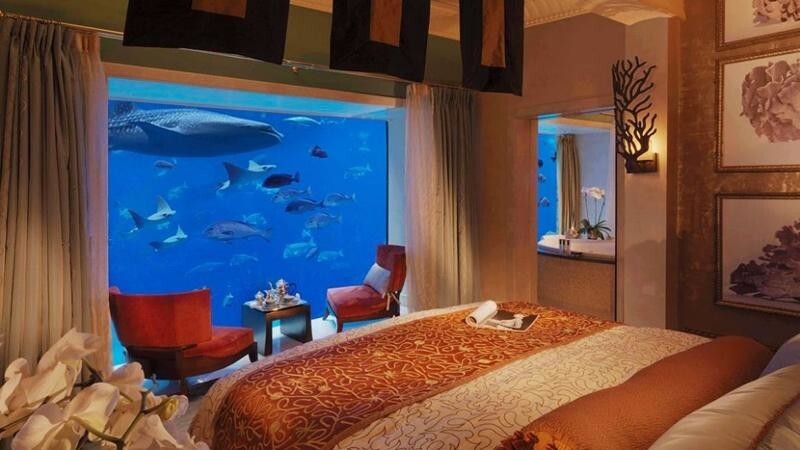 Отель с аквариумной стеной