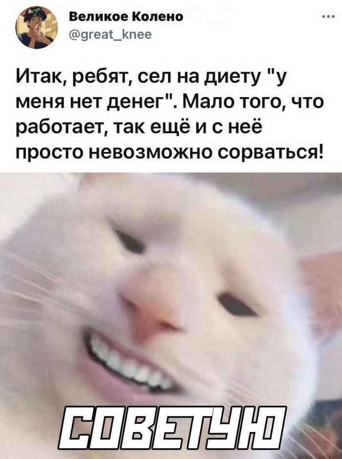 Скрины из соцсетей