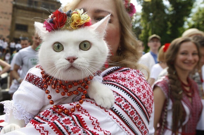 Вышиваночное безумие