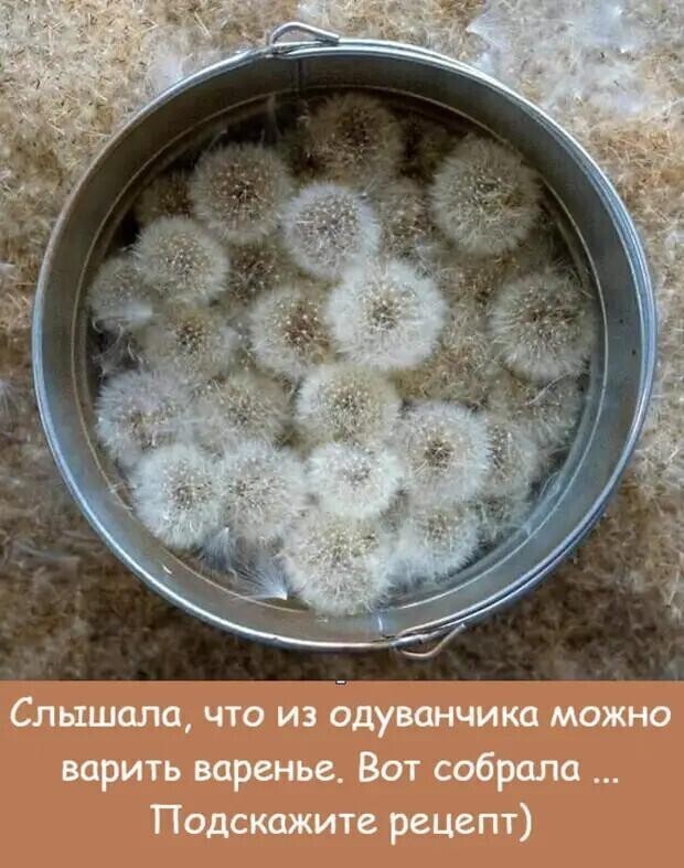 Новостной полит. обзор в сатирических тонах и другое, разное, для позитивного дня. 19.05.21