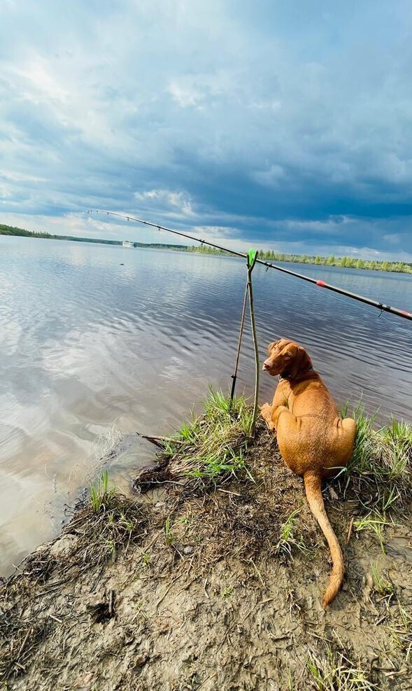 Не ожидали такой рыбалки! Корабли затягивают удочки!