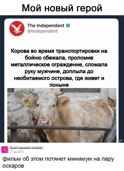 Смешные и познавательные картинки