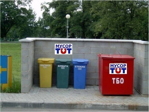 О политике и не только