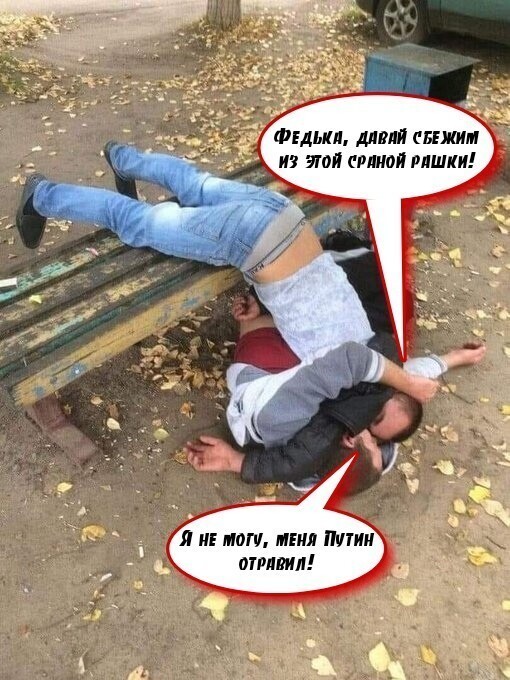 О политике и не только