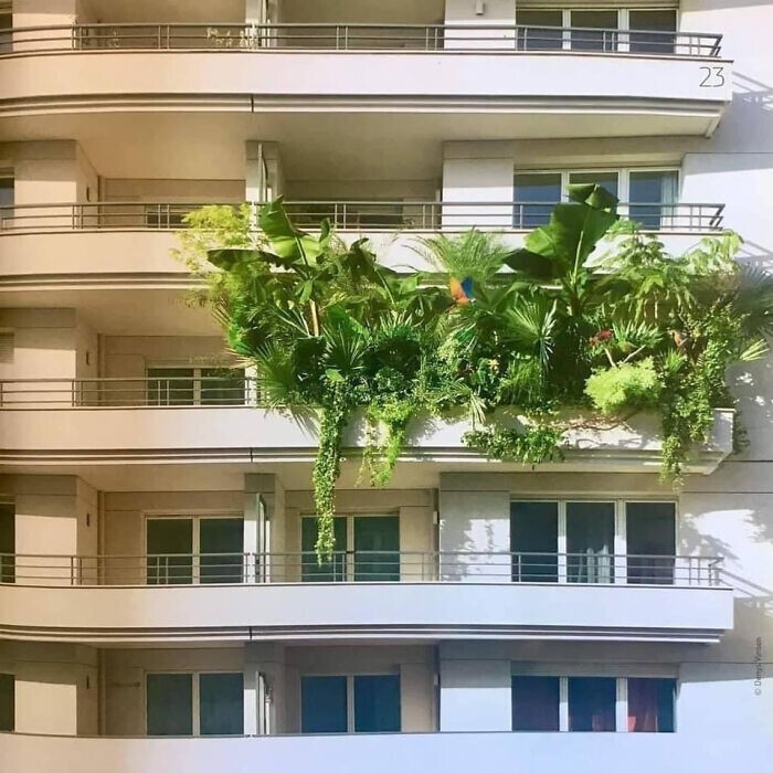  Смешные и причудливые балконы