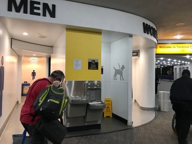 Туалет для животных в аэропорту