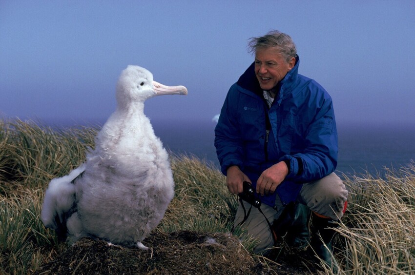 Странствующий альбатрос: Кругосветка за месяц. Как не уставать при регулярных перелётах на 21.000 км?