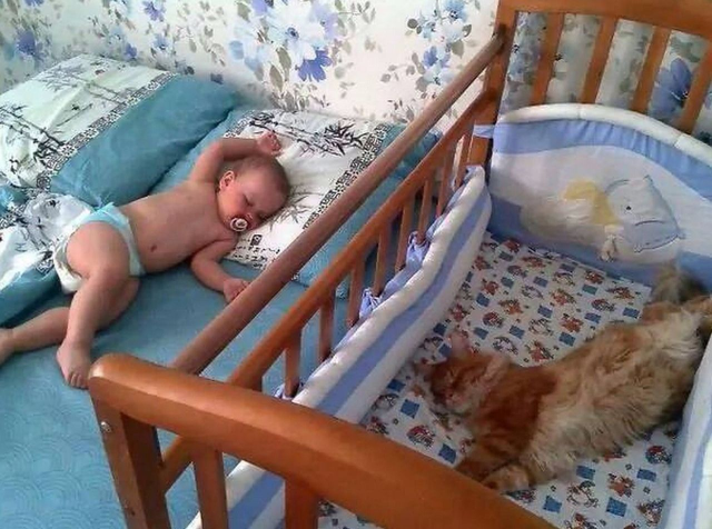 Он уверен, что эту кроватку купили ему