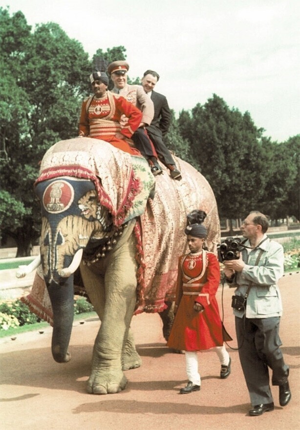 Министр обороны Советского Союза Георгий Жуков верхом на слоне во время визита в Индию, 1957 год. Фото Василия Егорова.