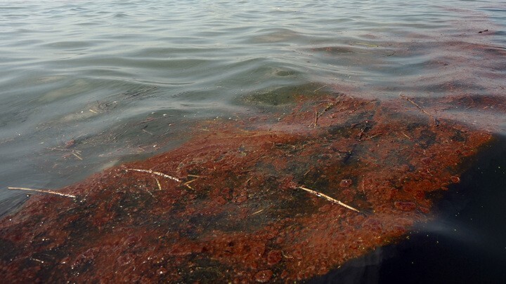 У берегов Туапсе произошел разлив нефтепродуктов