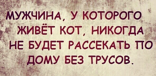 Истории о нас и питомцах