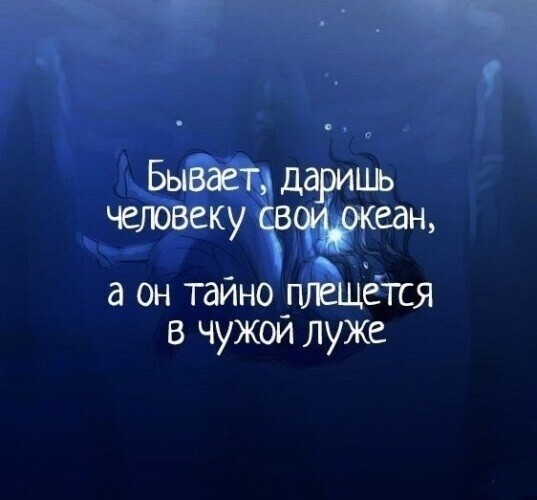 Истории о нас и питомцах