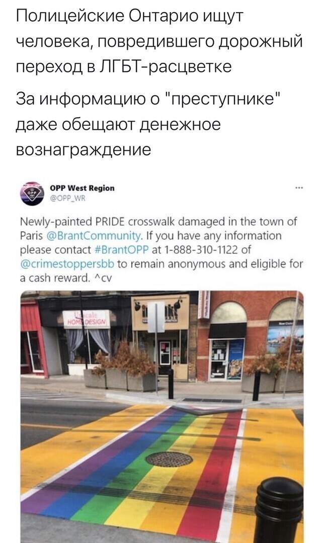 О политике и не только