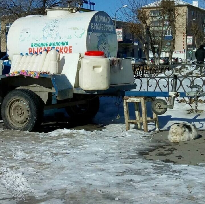 Спокойно! С вами всё в порядке, а вот с реальностью что-то явно не так