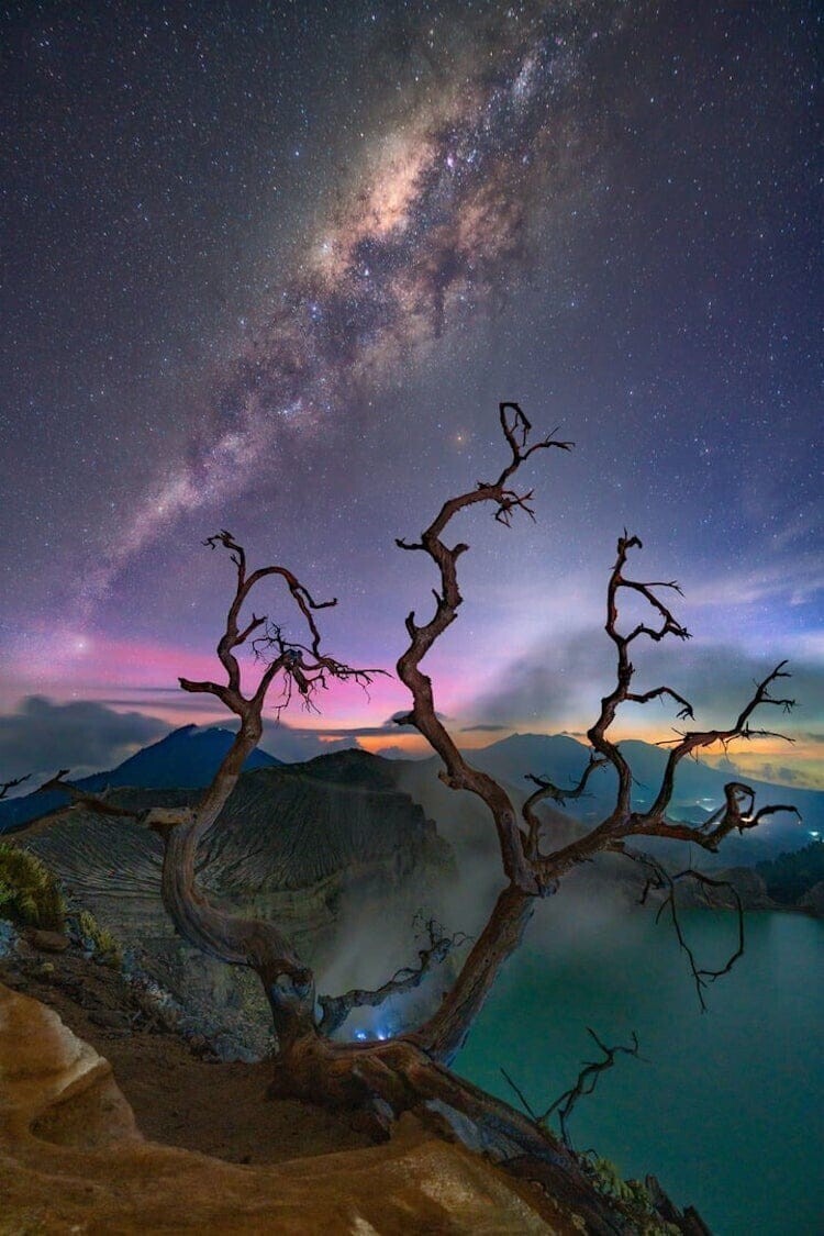 "У мертвых деревьев", Гарри Базтара, остров Ява, Индонезия