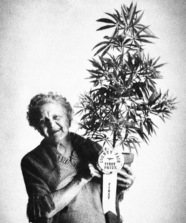 Счастливая бабушка с лучшей марихуаной в округе. Калифорния, 1973 год.
