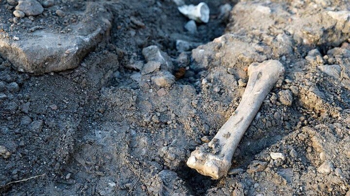 Под Воронежем найдены останки 500 детей и женщин
