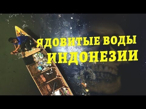 я лично считаю вот таким видео нужен максимальный репост 