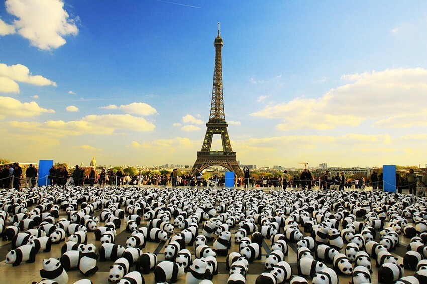 4. Бумажные панды WWF в Париже – 50 000 долларов