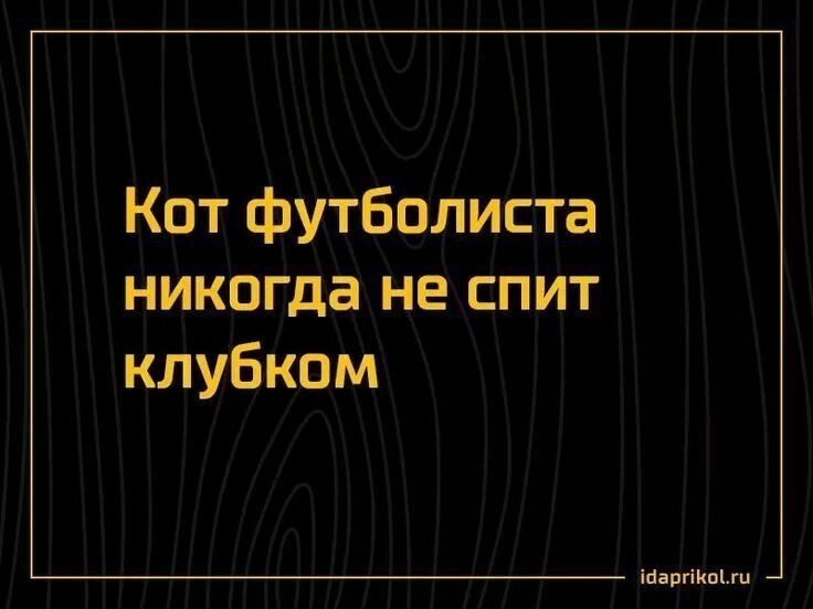 Истории о нас 