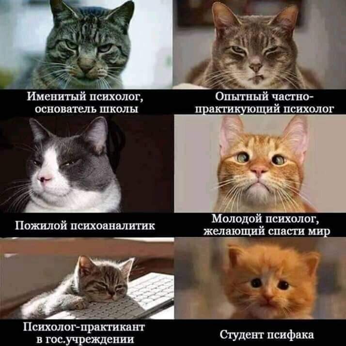 Политические новости с сарказмом и сатирой. 30.05.21