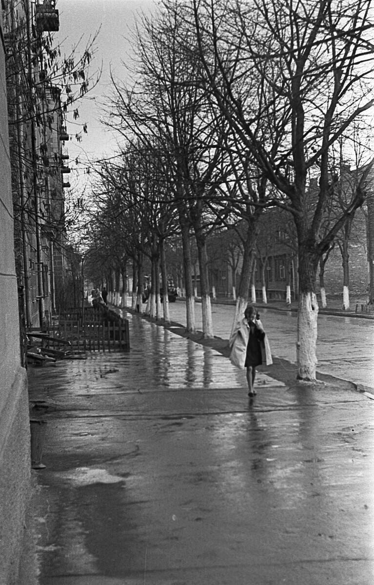 1965. Майский дождь