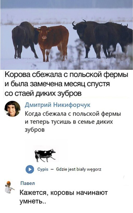 Смешные и познавательные картинки