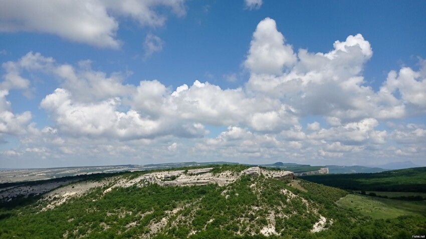 Под Бахчисараем зацвели маки