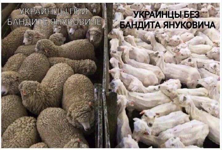 Располагаемся поудобнее и читаем утренние новости с сатирой и с сарказмом
