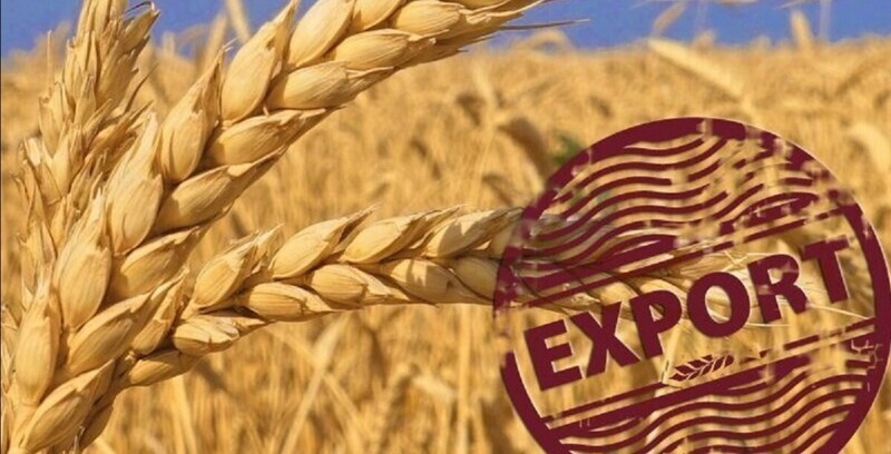Россия продаёт на экспорт излишки сельхозпродукции