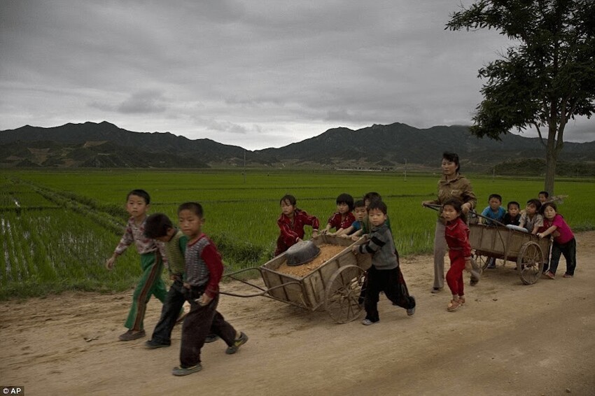 Северокорейские сироты просятся в шахты