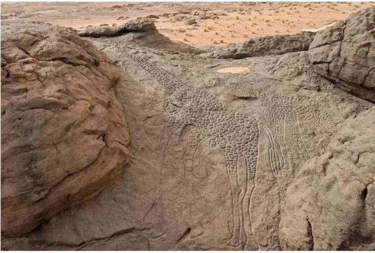 Ученые оказались в тупике, когда определили точный возраст этого изображения жирафов, обнаруженного в пустыне Сахара. Кто мог нарисовать это 10 тысяч лет назад?