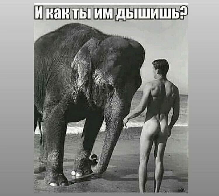 Ежедневный утренний обзор политических событий с сатирой и другое