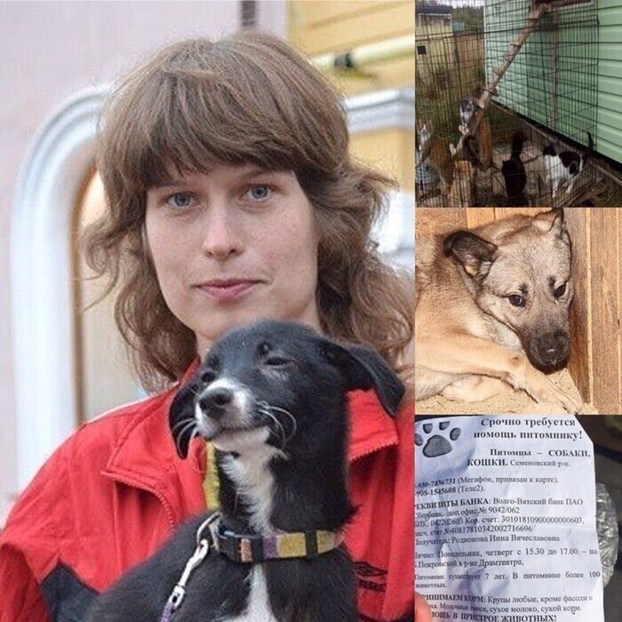 Семья из Нижнего Новгорода утонула в собачьей моче