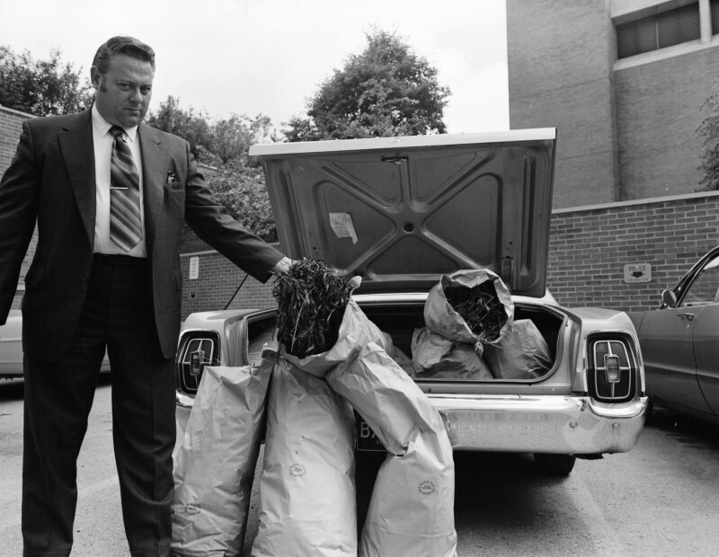 Анн Арбор, Мичиган. Сержант Рэймонд Винтерс демонстрирует мешки с коноплей, обнаруженные в багажнике автомобиля