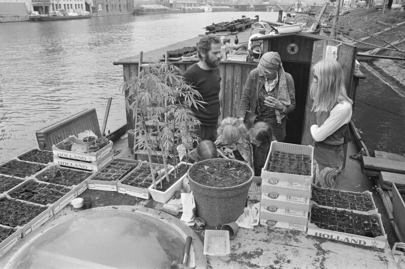 10 июня 1971 года. Амстердам. Продавец саженцев конопли.