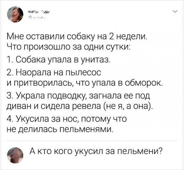 Скрины из соцсетей