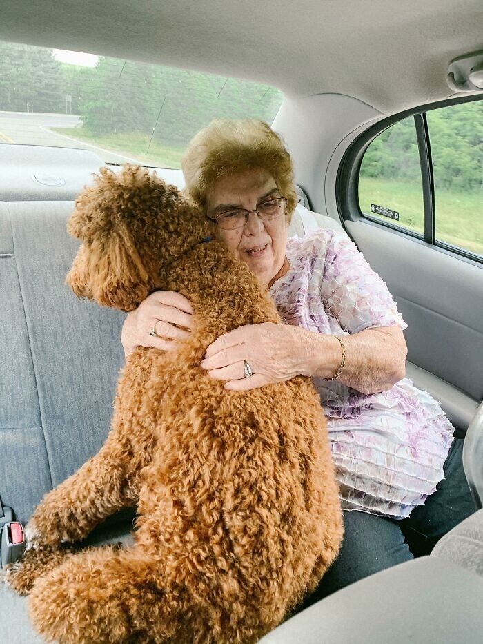 13. "Мой пес нервничает в машине, и бабушка попросилась сесть с ним на заднее сидение. Всю дорогу я слышал: "Все хорошо, мы уже почти на месте. Храбрый мальчик!"